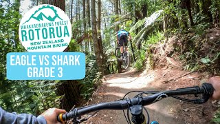 Get it While it's Still Here! Eagle vs Shark,...