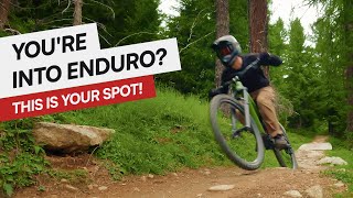 Almtrail to Bunker Trail | TRAIL PREVIEW |...