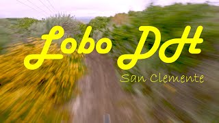 Lobo DH