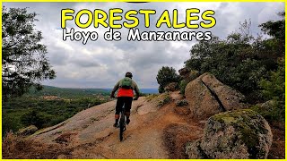 Bajada Forestales ‍​ Hoyo de Manzanares |...