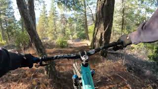 Kill Zone - Everstoke