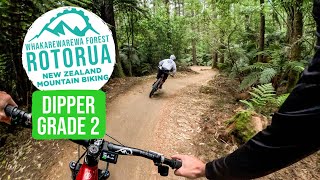 The PERFECT TRAIL to Start | Dipper Trail, Rotorua
