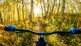 Autumn Mountain Biking in Crested Butte!