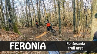 come in un bike park: FERONIA TRAIL - Incontro...