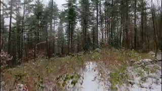 My Favorite Run—In The Snow