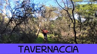 MTB Roveta 16.11.2024 sentiero Tasso Morto /...