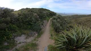 Upper Leaping Lizard - Mākara Peak Mountain...