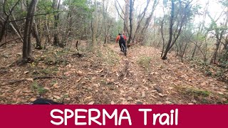 MTB Monte Brugiana 07.12.2024 sentiero SPERMA