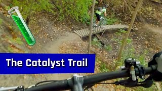 The Catalyst trail - October 2023