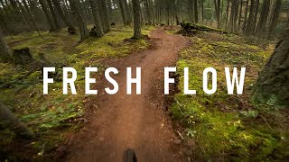 Double D (2024 Refresh) - Vancouver Island...