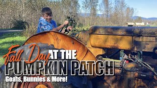 Fall Fun at the Pumpkin Patch! Goats, Bunnies...