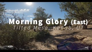 Morning Glory - East @ Tilted Mesa, outside...