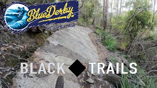 Black Diamond Trails of Blue Derby - Black...