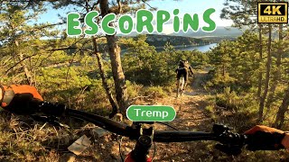 Escorpins 4k