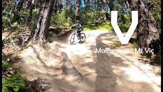 V - Matairangi / Mt Vic