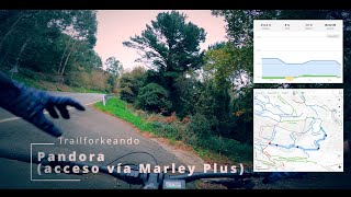 Pandora y acceso desde Marley Plus. Joyas de...