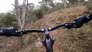 Jerra K9 trail