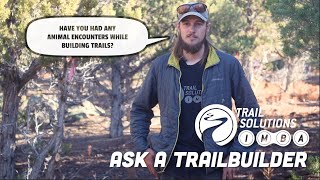 Have you had any animal encounters while...