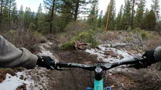 Sir Squatch-A-Lot
