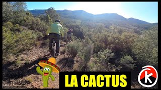 La Cactus