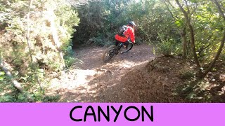 MTB Livorno 21.12.2024 sentiero   CANYON