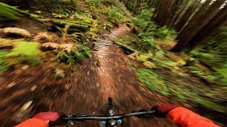 Line Choice Is KEY On These Wet MTB Trails!...