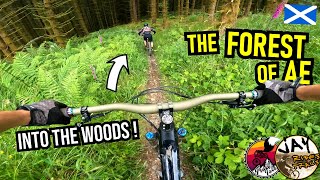 SCHOTTLAND Forest of Ae: Bikeländ-Style! /...
