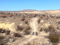 Dig Cholla Trail