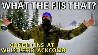 Christmas Pow ?!? Whistler Mountain Snow...