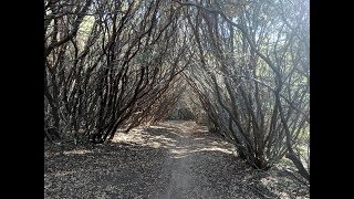 Just Outstanding Trail - Kernville, CA