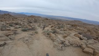 Lower Palm Canyon Epic - Art Johnson Trail...