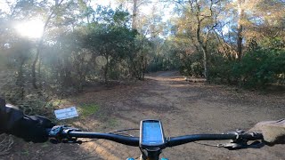 Trail T-Rex Frontal amb T-Rex Pista Rota -...