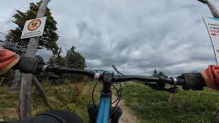 Merida Timber Coaster - MTB ZONE, Bikepark...