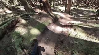 Hardtail Laps Tsuga The Woodlot