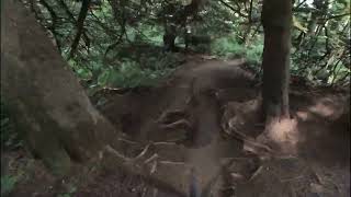 Skidder to Terdferg Vedder Mountain