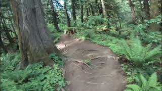 Electric Lettuce Vedder Mountain