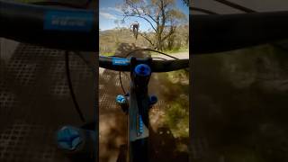 At 53, I’m tackling two massive road gap...