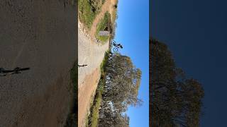 A Case of Temporary Insanity  #shorts #roadgap...