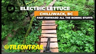 Electric Lettuce - Chilliwack, BC - MTB Trail...