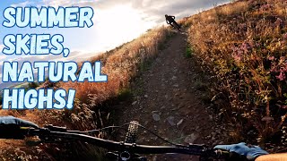 Flow Therapy:  A perfect summer shred with new...
