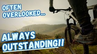 AE Forest - An Enduro Gem!