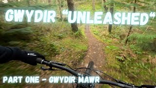 Gwydir Forest - The Welsh forest with a split...