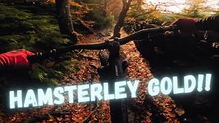 Hamsterley Forest - Off piste/Enduro trails in...