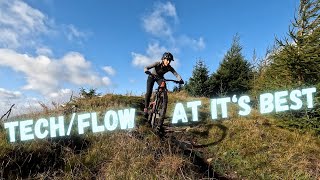 Glassie Bike Park/Weem Forest - Awesome Tech...