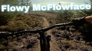 Tarland Trails - The best flow trails in the...