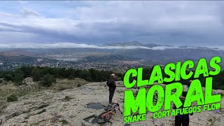 ‍♀️⛰ Snake + Cortafuegos Flow |...