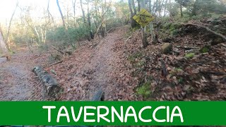 MTB Roveta 31.12.2024 sentiero TAVERNACCIA