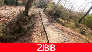 MTB Roveta 31.12.2024 sentiero ZIBIB