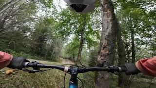 Jumpline - Bikepark Geisskopf, MTB Zone