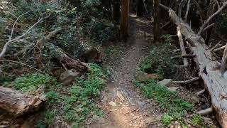 Trail Roller Coaster + Link Up Monte Morello -...